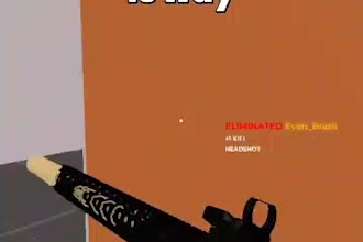 do roblox animation video, and 3d roblox model of your game
