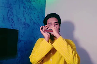 play harmonica and tabla on any type of music