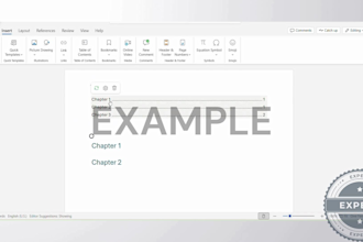 format google and word documents for you