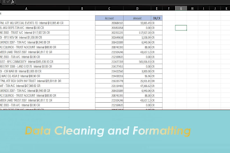 clean, format, merge, split, visualize excel data