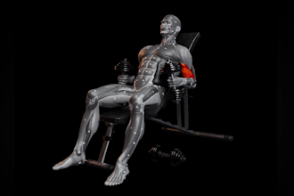 create a gym animated professional video