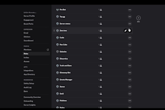 setup the best professional discord server for you