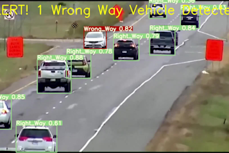 do image classification, deep learning, computer vision based projects