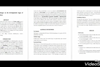 assist you in gender studies, history, geography, politics related tasks