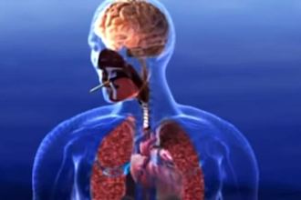 create stunning 3d medical animations, surgery explainer, and anatomy videos