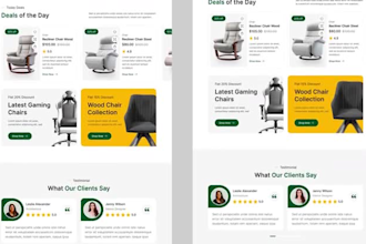 professional shopify store design development