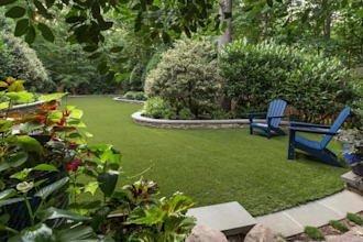 create 3d landscape design, home garden, swimming pool, backyard design