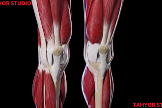 do 3d medical animation 3d explainer video animation 3d product animation