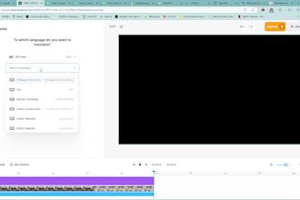 do translation and add subtitles in video