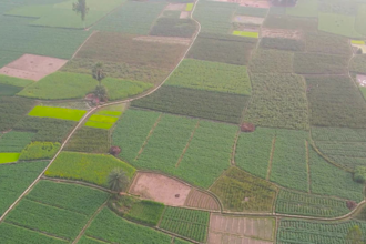 professional drone footage aerial view of a crop field