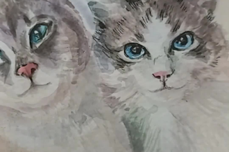 hand drawn watercolor portraits of pets and people