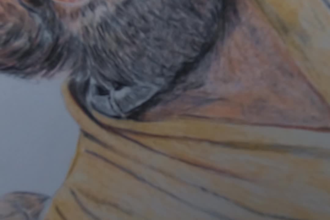 draw realistic pencil portraits