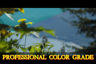 professionally color grade your footage