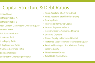 do professional ratio analysis for business growth and success