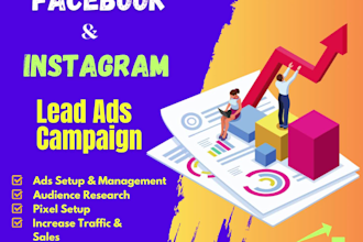 setup and run facebook instagram lead ads for sales