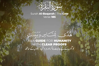 make quran recitation  video with thumbnail in one day