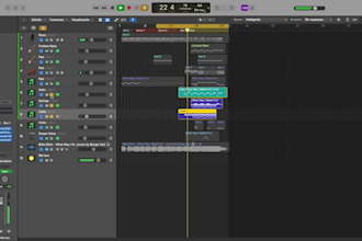 recreate any song  instrumental track for you