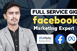 setup facebook ads campaign, marketing, fb advertising, instagram ads