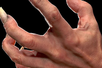 do a 3d realistic hand model, 3d texturing,3d rigging
