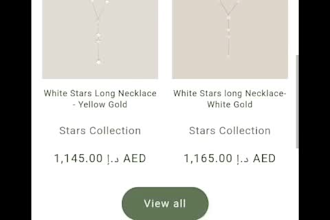 design stylish fashion shopify website and jewlery wordpress website