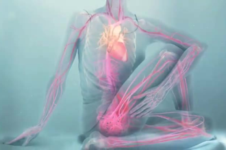 do 3d medical animation,3d medical explainer video for your product or procedure