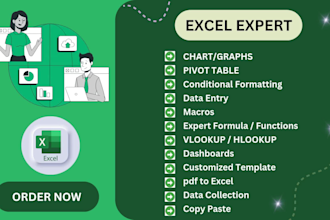 create excel formula, pivot table, graph, charts, data entry in 6 hours