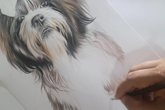 draw a realistic portrait of your cat dog or any pet