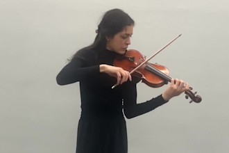 teach violin to students of all levels