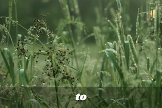 enhance, upscale, unblur, improve images and photos to high resolution