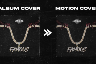 make album cover art music video