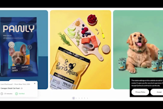 build pet shopify store pet supplies dropshipping and accessories store