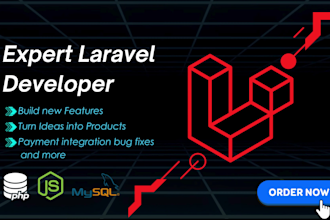 develop custom laravel web applications