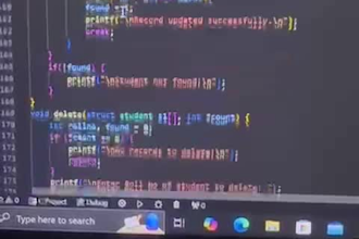 be your expert c programmer for assignments and projects