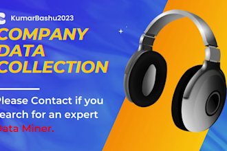 perform tasks involving data mining data entry and web scraping