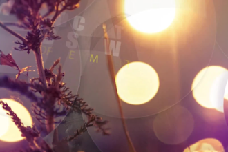make a specialized video, photo slideshow