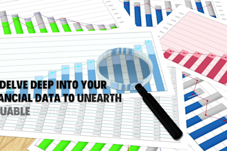 do financial statements, financial reports, analysis and projects