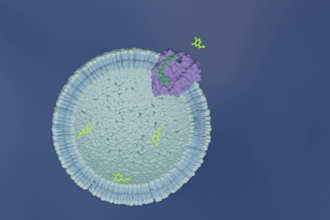 make 3d animation of proteins for science and biology