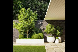 design your backyard, frontyard