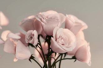 do realistic 3d perfume animation 3d fragrance 3d product animation