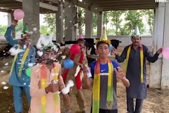 do funny african happy birthday video or funny wishes