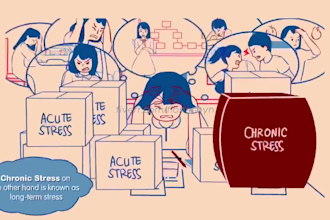 create reels instagram, infographic video, 2d motion graphics and 2d animations