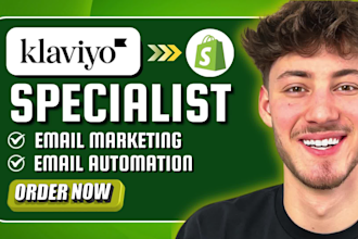 professionally setup klaviyo email flows for your ecommerce store, klaviyo flows
