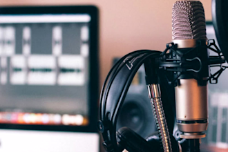 be your announcer in spanish for any work