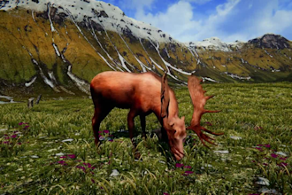 integrate 3d animal model, 3d character rigging, xgen fur, 3d animal animation