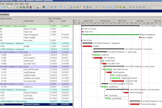 help you with microsoft project and primavera tasks