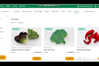 fix critical wordpress errors, elementor bugs, and woocommerce issues