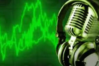 do professional urdu voice over services within 24hrs
