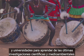 create synced subtitles and captions to your english to spanish, french videos