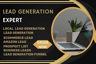 do lead generation, local lead, business lead, prospect list, email campaign