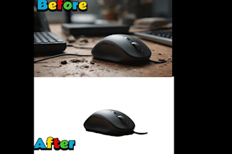 professionally remove background from your video or photo